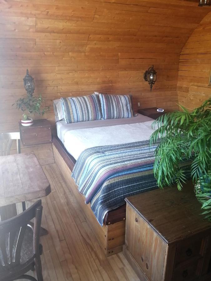 L'Oasis Du Pirate Bed & Breakfast Lévis Eksteriør bilde